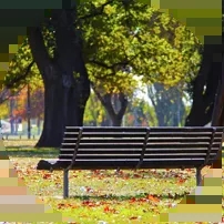 中国食品科学技术学会第十六届年会暨第十届中美食品业高层论坛在武汉召开